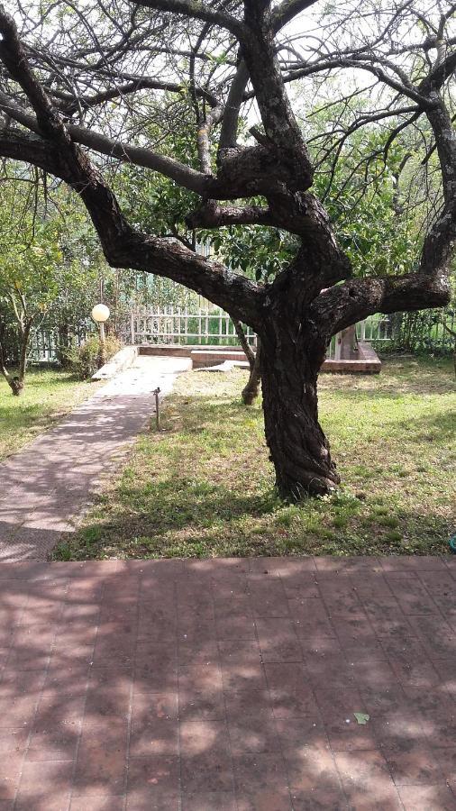 רנדה Bed & Breakfast Suite מראה חיצוני תמונה